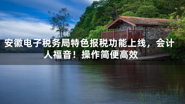 安徽电子税务局特色报税功能上线，会计人福音！操作简便高效