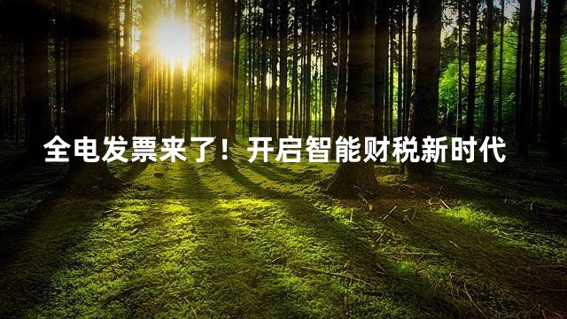 全电发票来了！开启智能财税新时代