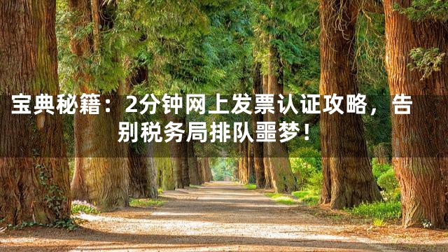 宝典秘籍：2分钟网上发票认证攻略，告别税务局排队噩梦！