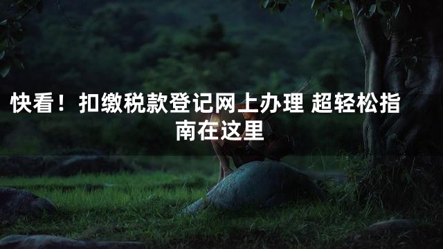 快看！扣缴税款登记网上办理 超轻松指南在这里