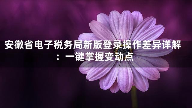安徽省电子税务局新版登录操作差异详解：一键掌握变动点