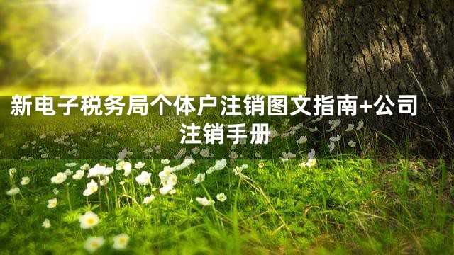 新电子税务局个体户注销图文指南+公司注销手册
