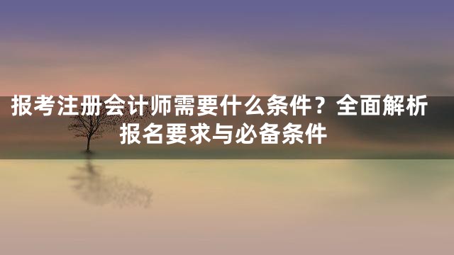 报考注册会计师需要什么条件？全面解析报名要求与必备条件