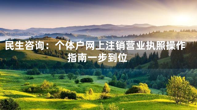 民生咨询：个体户网上注销营业执照操作指南一步到位