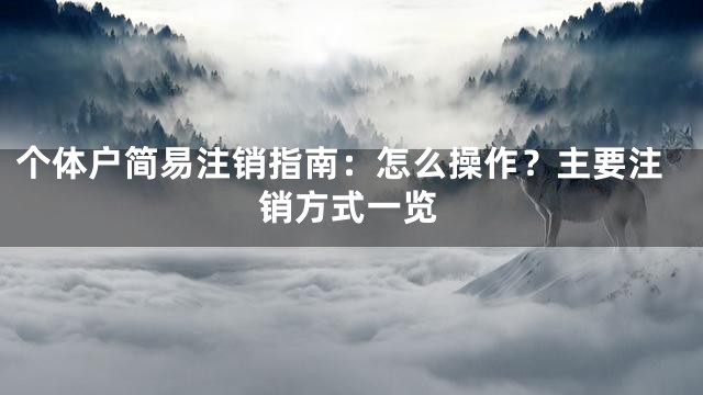 个体户简易注销指南：怎么操作？主要注销方式一览