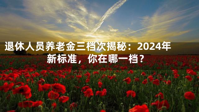 退休人员养老金三档次揭秘：2024年新标准，你在哪一档？