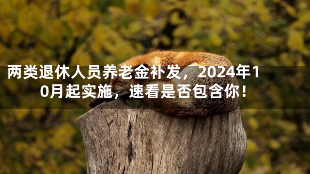 两类退休人员养老金补发，2024年10月起实施，速看是否包含你！