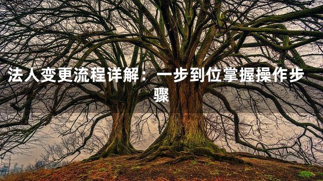 法人变更流程详解：一步到位掌握操作步骤