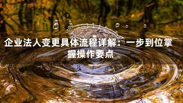 企业法人变更具体流程详解：一步到位掌握操作要点