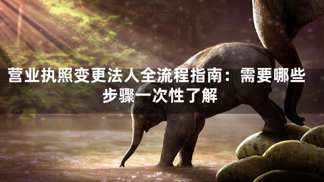 营业执照变更法人全流程指南：需要哪些步骤一次性了解
