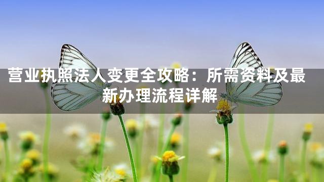 营业执照法人变更全攻略：所需资料及最新办理流程详解