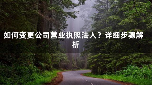 如何变更公司营业执照法人？详细步骤解析
