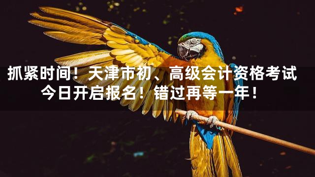 抓紧时间！天津市初、高级会计资格考试今日开启报名！错过再等一年！