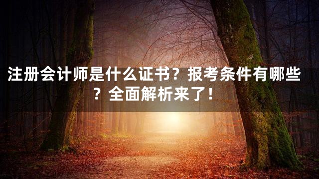 注册会计师是什么证书？报考条件有哪些？全面解析来了！