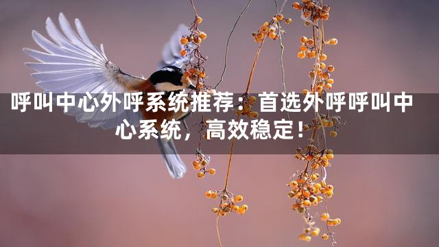 呼叫中心外呼系统推荐：首选外呼呼叫中心系统，高效稳定！