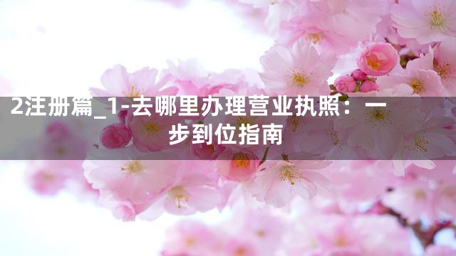 2注册篇_1-去哪里办理营业执照：一步到位指南