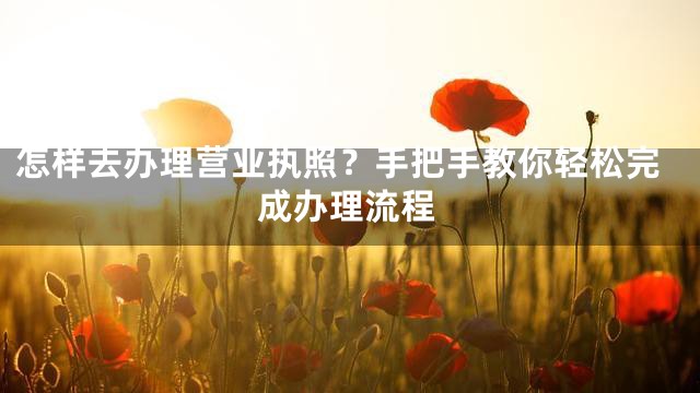 怎样去办理营业执照？手把手教你轻松完成办理流程