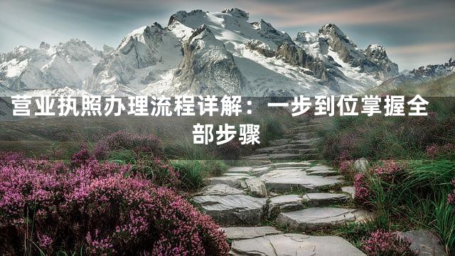 营业执照办理流程详解：一步到位掌握全部步骤