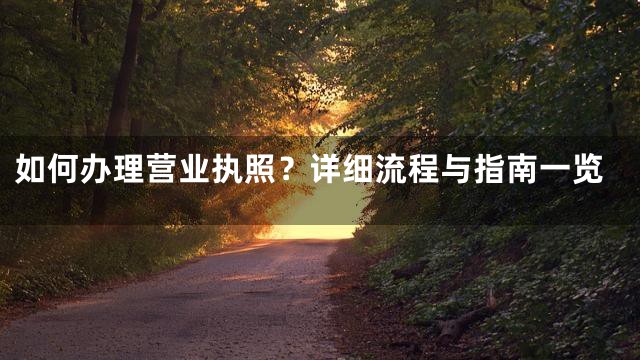 如何办理营业执照？详细流程与指南一览