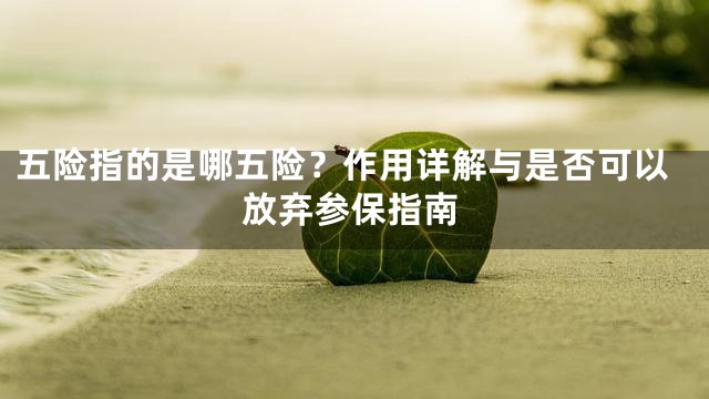 五险指的是哪五险？作用详解与是否可以放弃参保指南