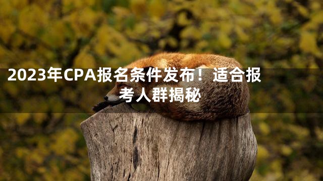 2023年CPA报名条件发布！适合报考人群揭秘