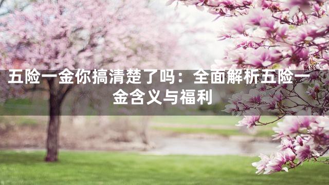 五险一金你搞清楚了吗：全面解析五险一金含义与福利