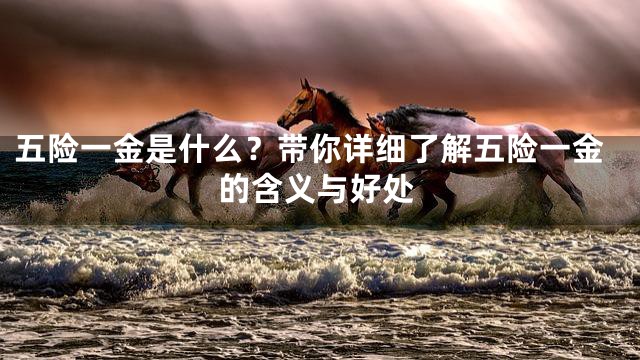 五险一金是什么？带你详细了解五险一金的含义与好处