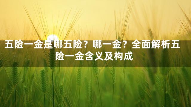 五险一金是哪五险？哪一金？全面解析五险一金含义及构成
