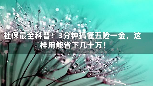 社保最全科普！3分钟搞懂五险一金，这样用能省下几十万！