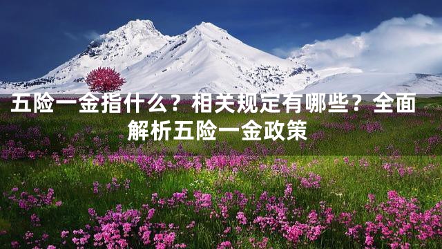 五险一金指什么？相关规定有哪些？全面解析五险一金政策