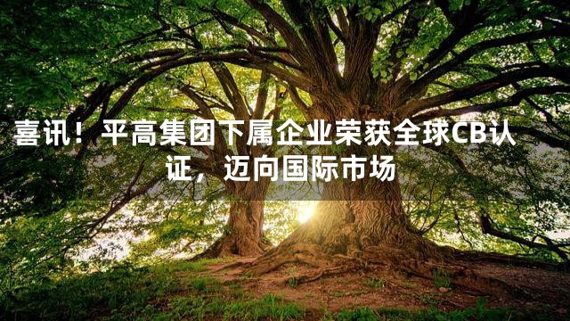 喜讯！平高集团下属企业荣获全球CB认证，迈向国际市场