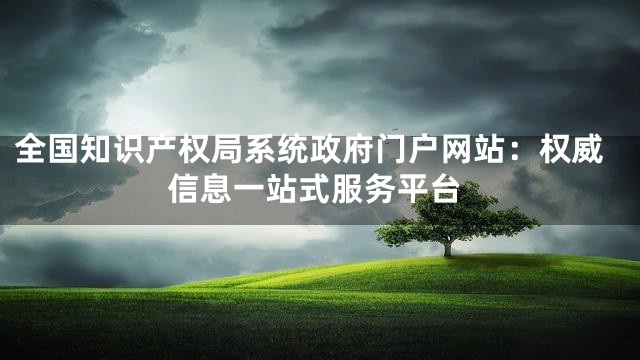 全国知识产权局系统政府门户网站：权威信息一站式服务平台