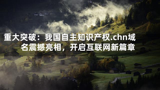 重大突破：我国自主知识产权.chn域名震撼亮相，开启互联网新篇章