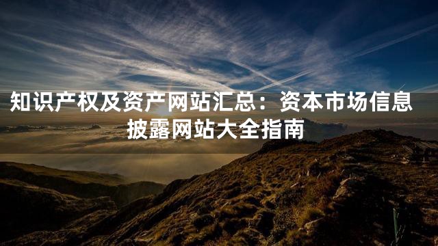知识产权及资产网站汇总：资本市场信息披露网站大全指南