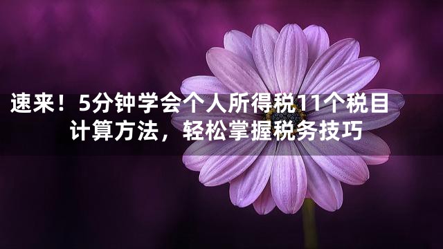速来！5分钟学会个人所得税11个税目计算方法，轻松掌握税务技巧