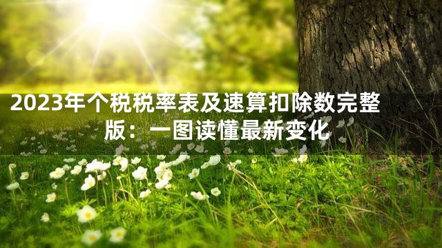 2023年个税税率表及速算扣除数完整版：一图读懂最新变化