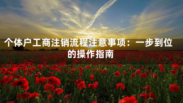 个体户工商注销流程注意事项：一步到位的操作指南