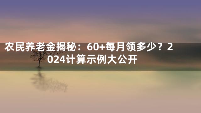 农民养老金揭秘：60+每月领多少？2024计算示例大公开