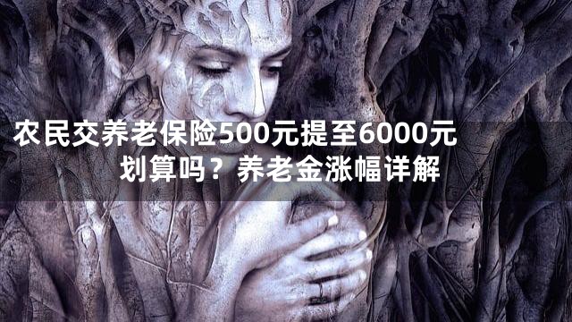 农民交养老保险500元提至6000元划算吗？养老金涨幅详解