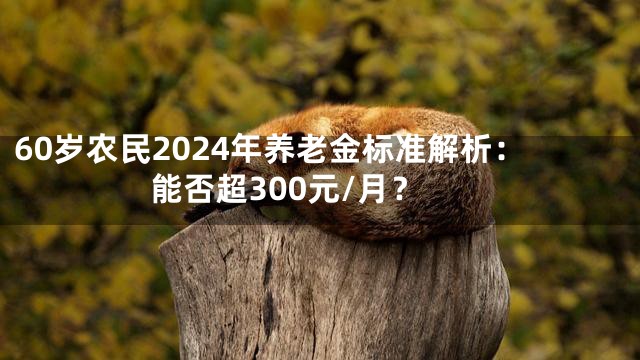 60岁农民2024年养老金标准解析：能否超300元/月？