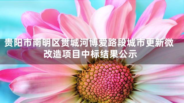 贵阳市南明区贯城河博爱路段城市更新微改造项目中标结果公示