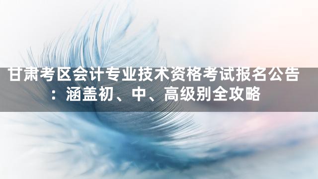 甘肃考区会计专业技术资格考试报名公告：涵盖初、中、高级别全攻略