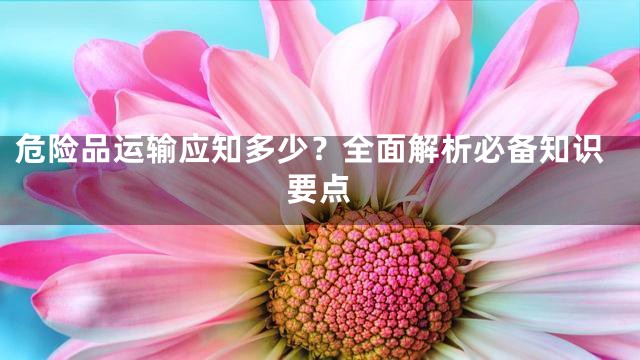 危险品运输应知多少？全面解析必备知识要点