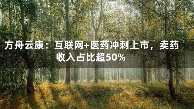 方舟云康：互联网+医药冲刺上市，卖药收入占比超50%