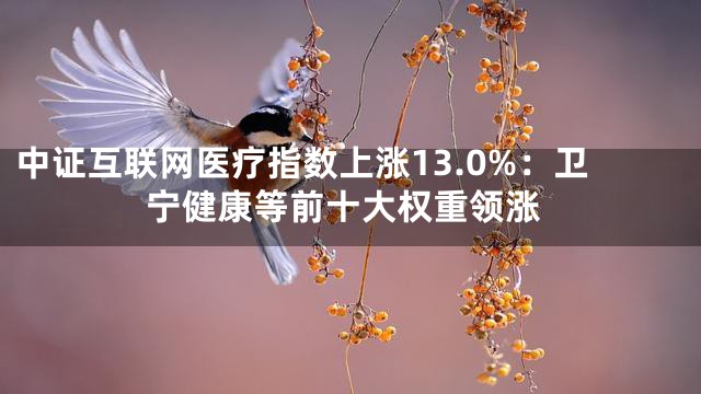 中证互联网医疗指数上涨13.0%：卫宁健康等前十大权重领涨