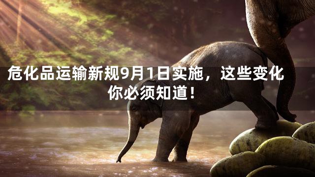 危化品运输新规9月1日实施，这些变化你必须知道！