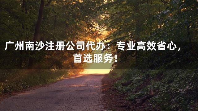 广州南沙注册公司代办：专业高效省心，首选服务！