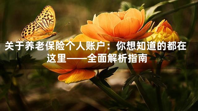 关于养老保险个人账户：你想知道的都在这里——全面解析指南