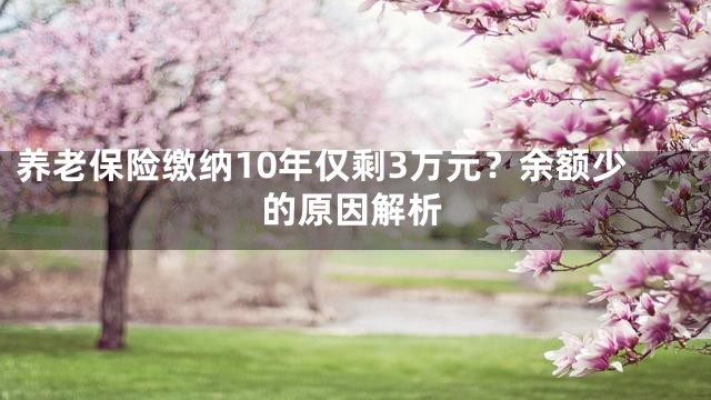 养老保险缴纳10年仅剩3万元？余额少的原因解析