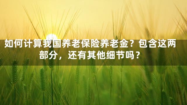 如何计算我国养老保险养老金？包含这两部分，还有其他细节吗？